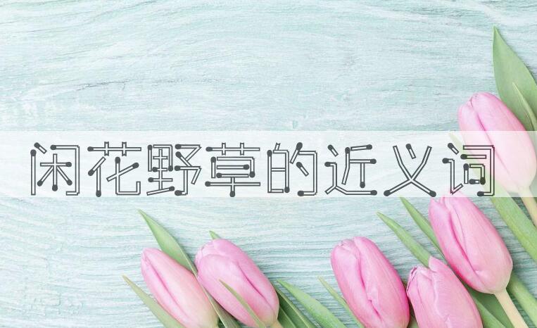 用闲花野草造句