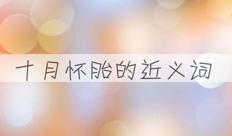 用十月怀胎造句
