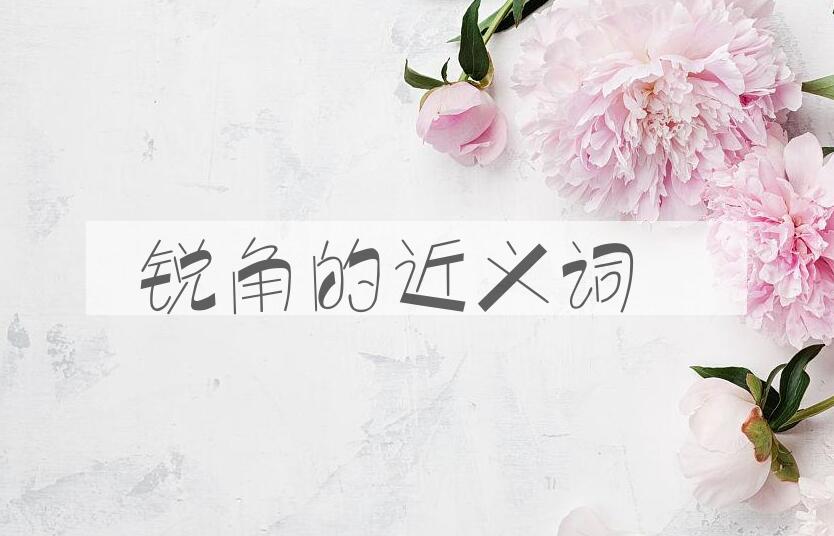 用锐角造句