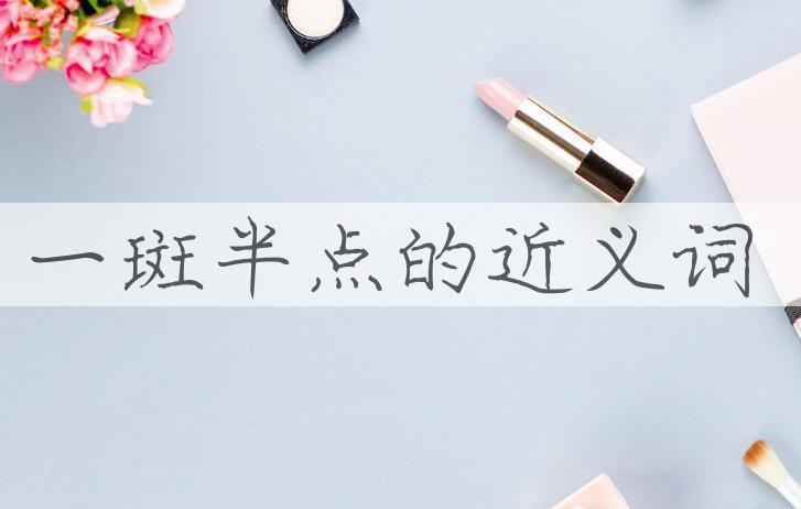 用一斑半点造句
