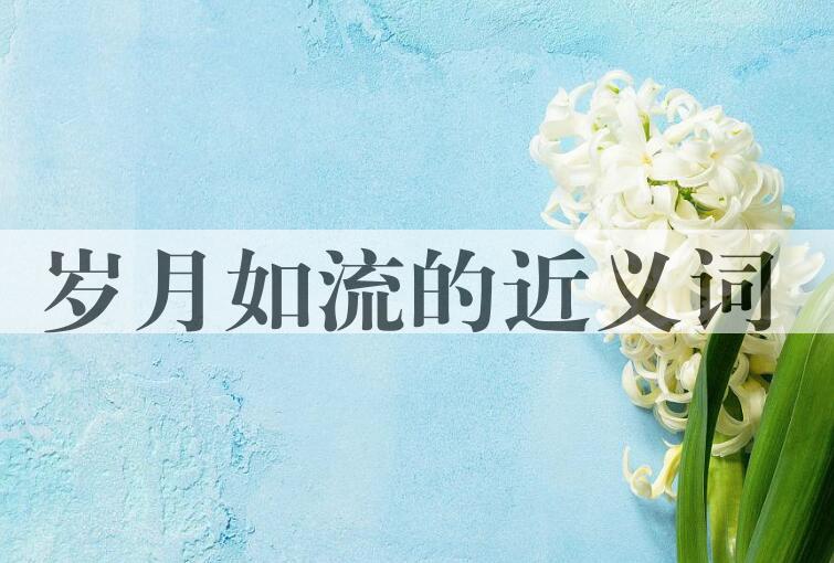 用岁月如流造句