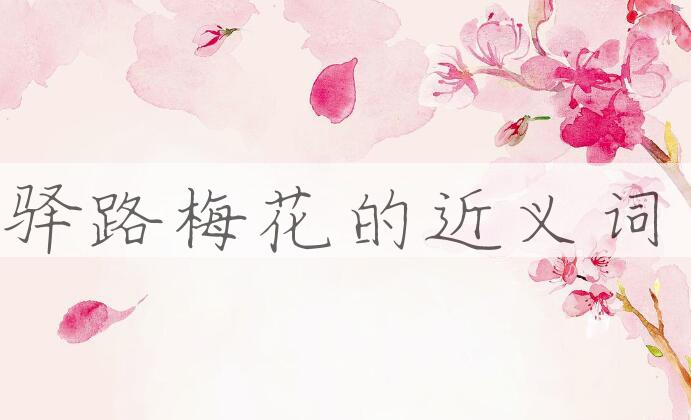 用驿路梅花造句