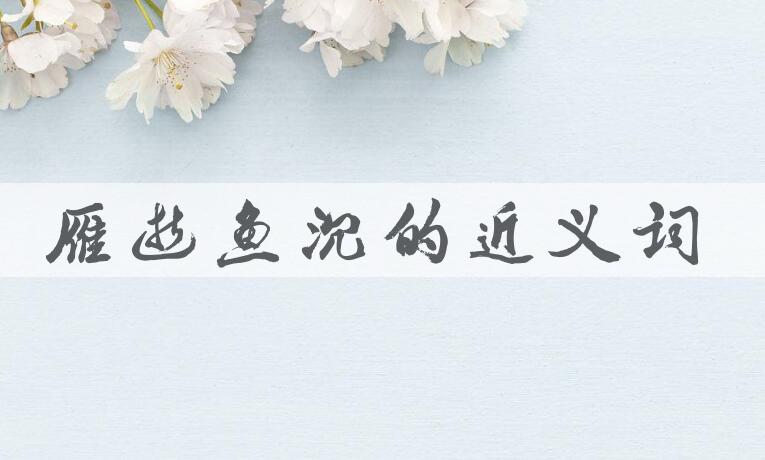 用雁逝鱼沉造句
