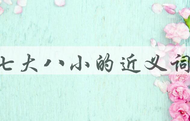 用七大八小造句