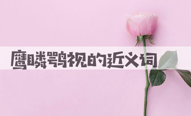 用鹰瞵鹗视造句