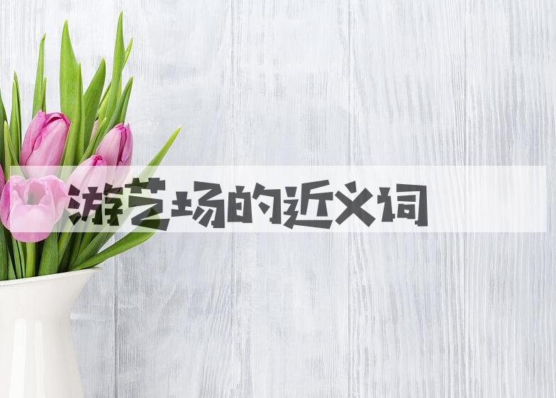 用游艺场造句