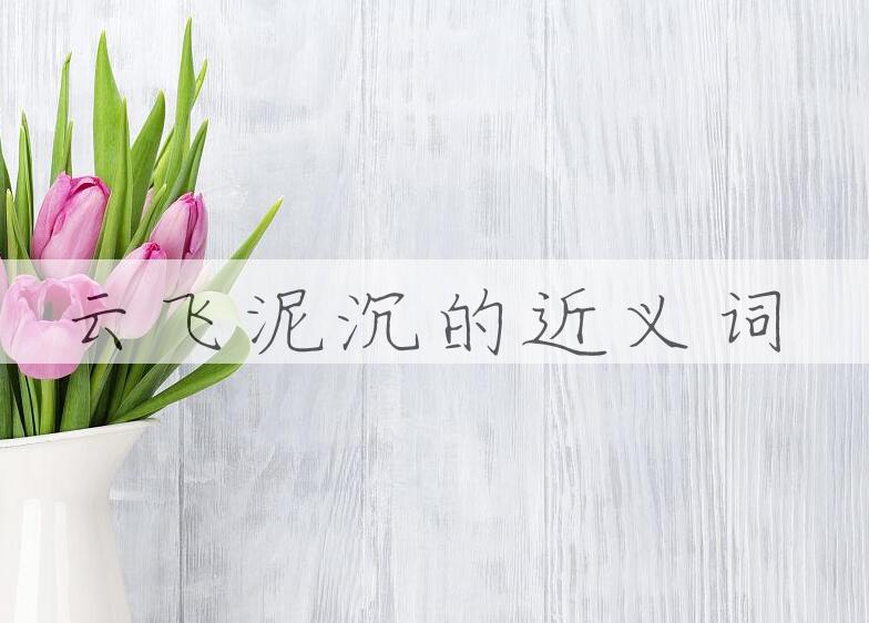 用云飞泥沉造句