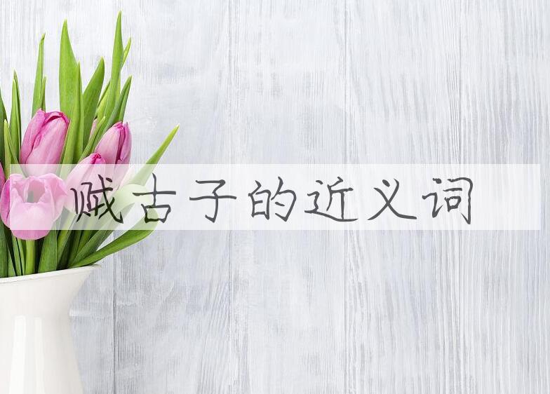 用贼古子造句