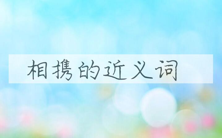 用相携造句