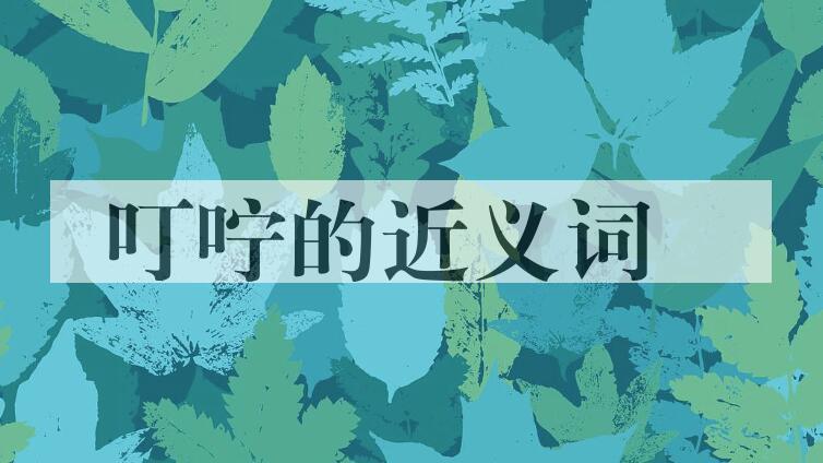 用叮咛造句