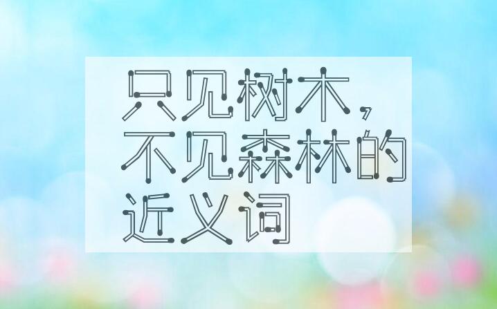 用只见树木，不见森林造句