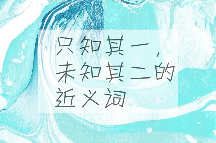 用只知其一，未知其二造句