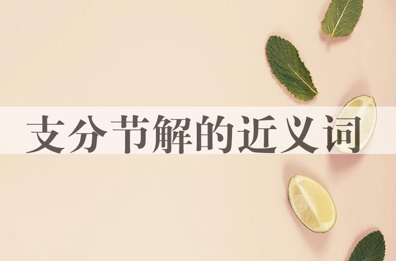 用支分节解造句