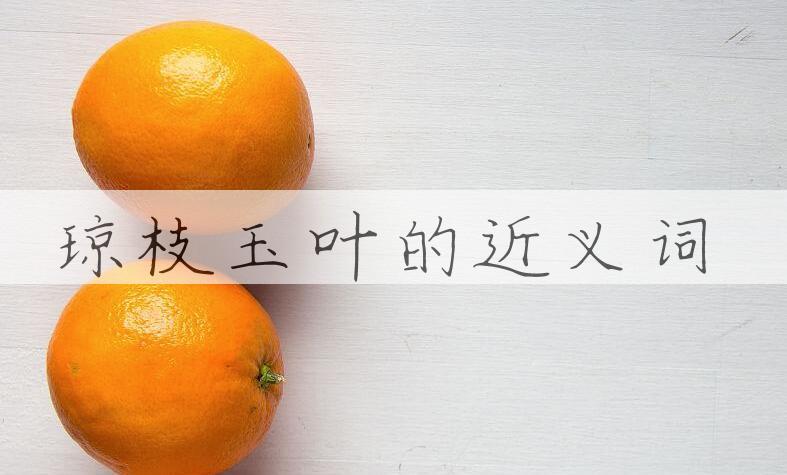 用琼枝玉叶造句