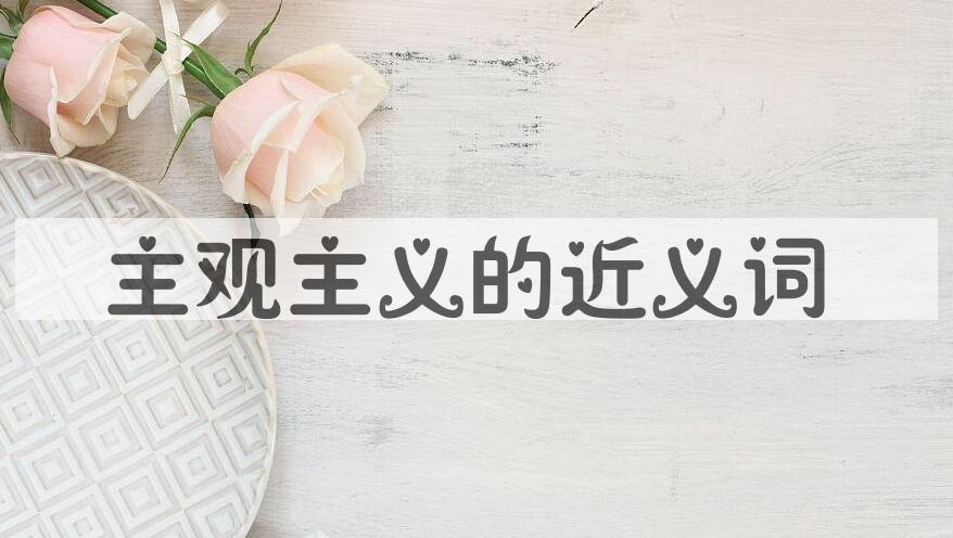 用主观主义造句