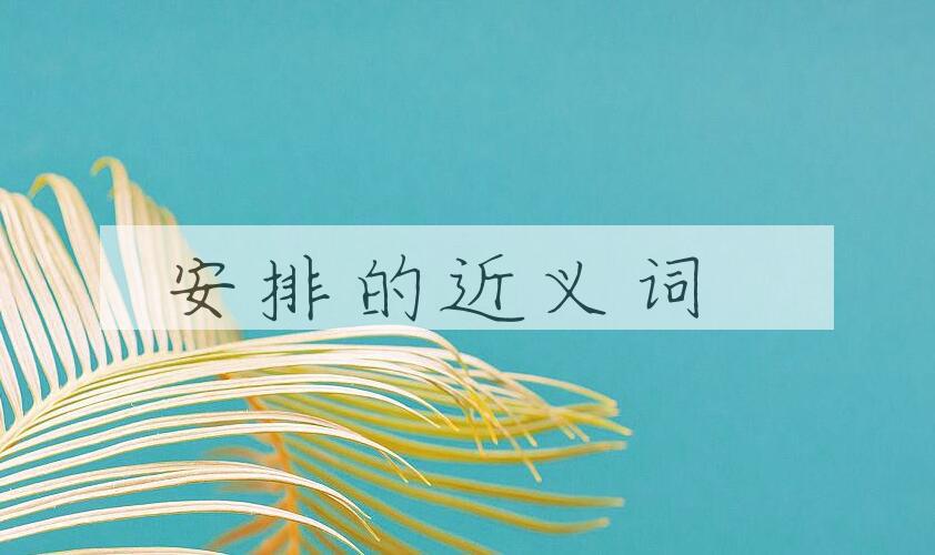 用安排造句