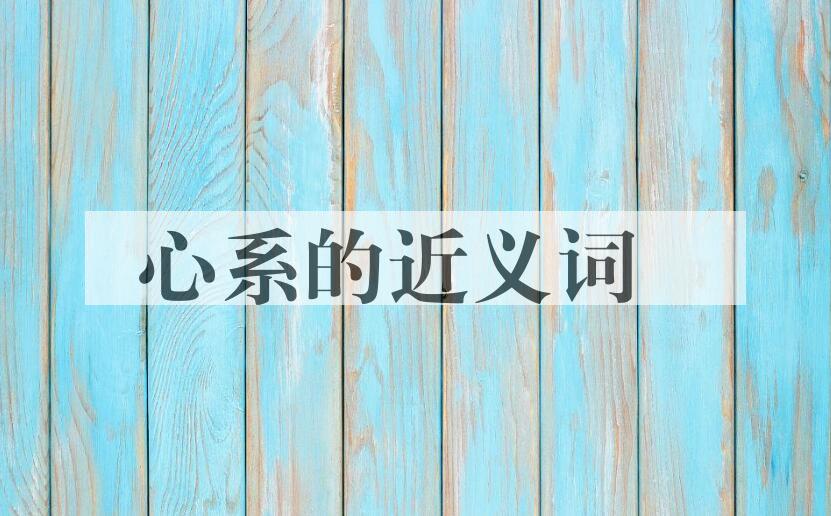 用心系造句