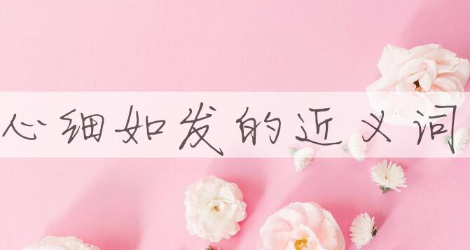 用心细如发造句