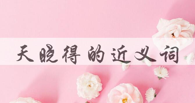 用天晓得造句