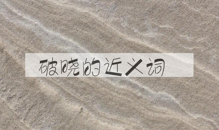 用破晓造句