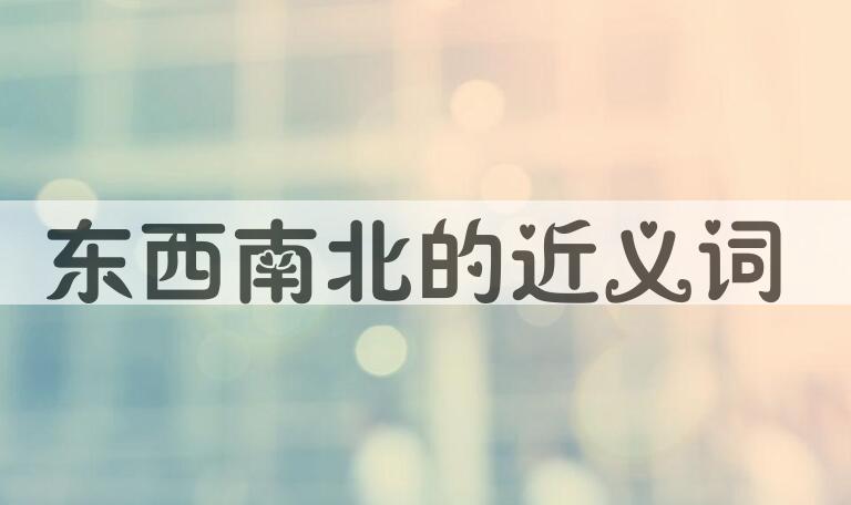 用东西南北造句