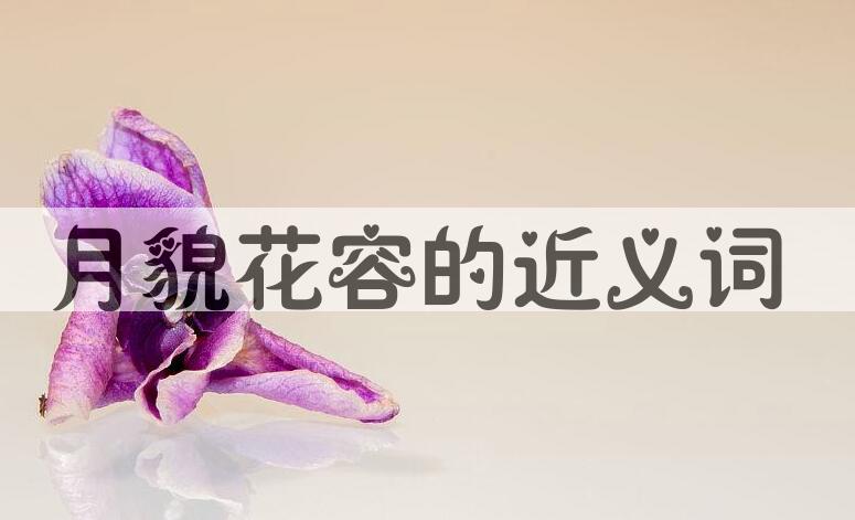 用月貌花容造句