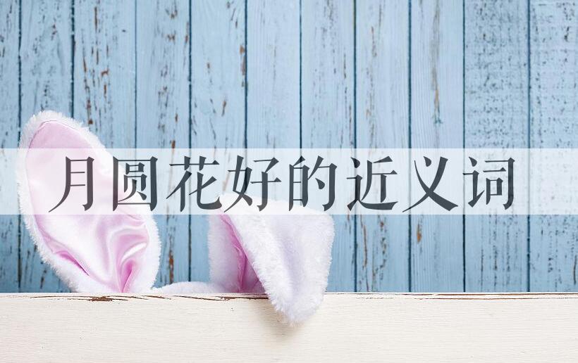 用月圆花好造句
