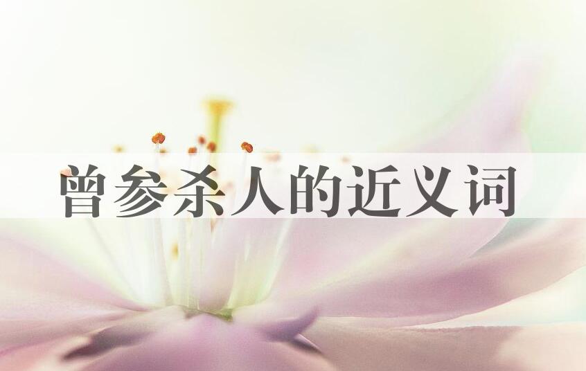 用曾参杀人造句