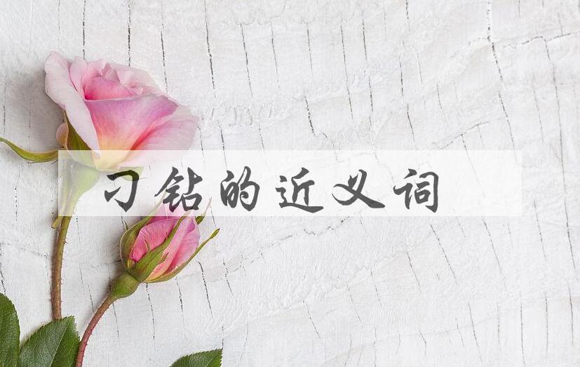 用刁钻造句