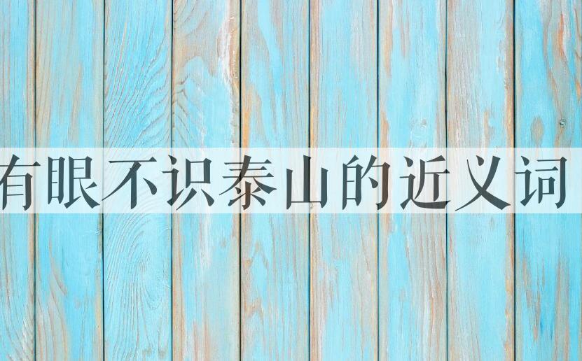 用有眼不识泰山造句