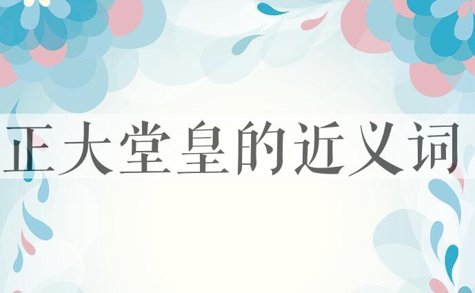 用正大堂皇造句