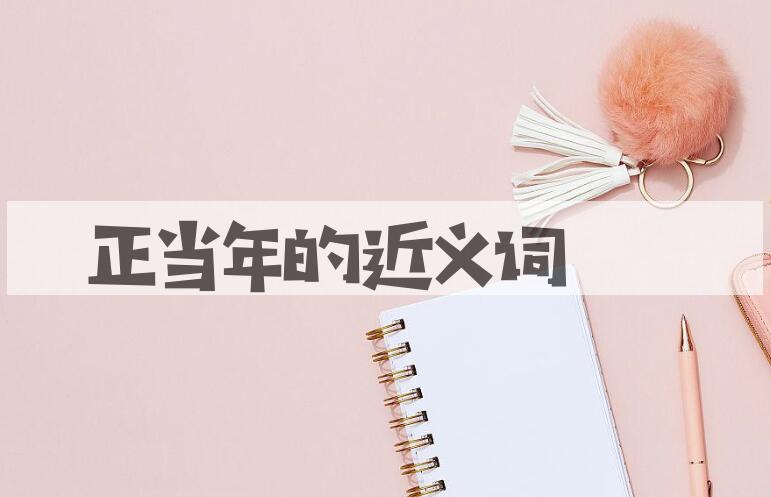 用正当年造句
