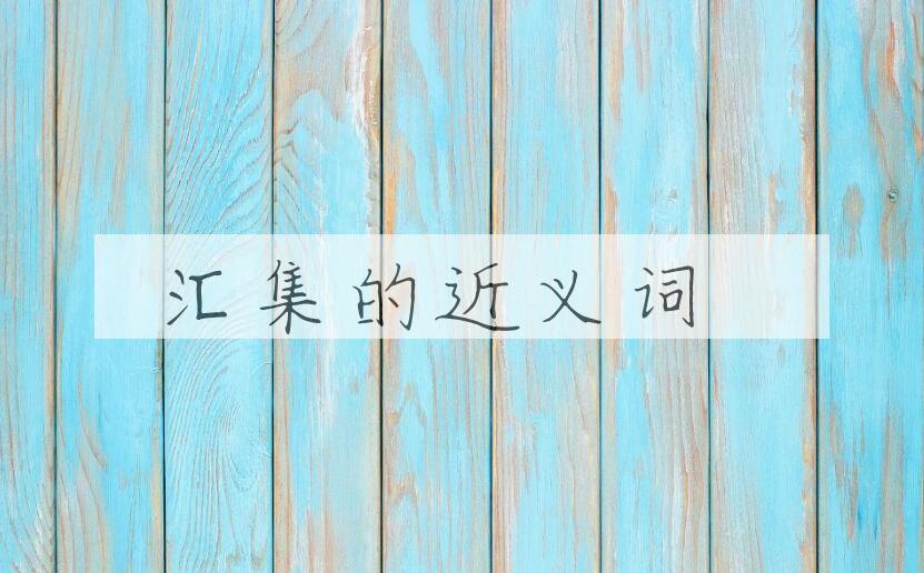 用汇集造句