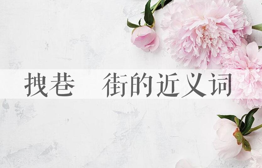 用拽巷攞街造句