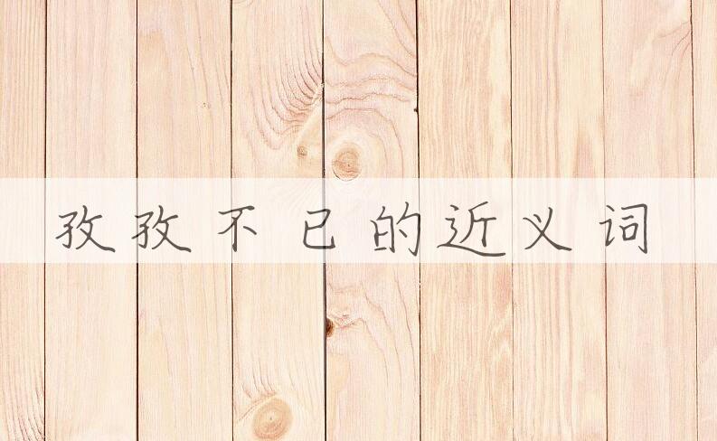 用孜孜不已造句