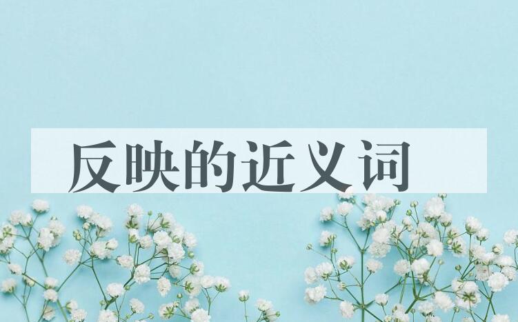 用反映造句