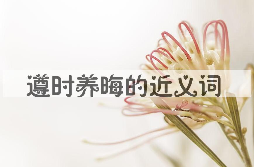 用遵时养晦造句