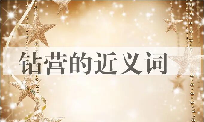 用钻营造句