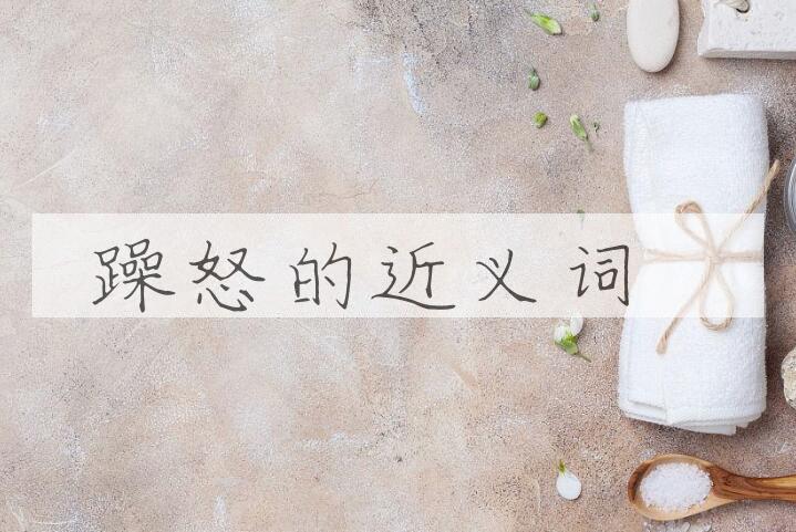 用躁怒造句