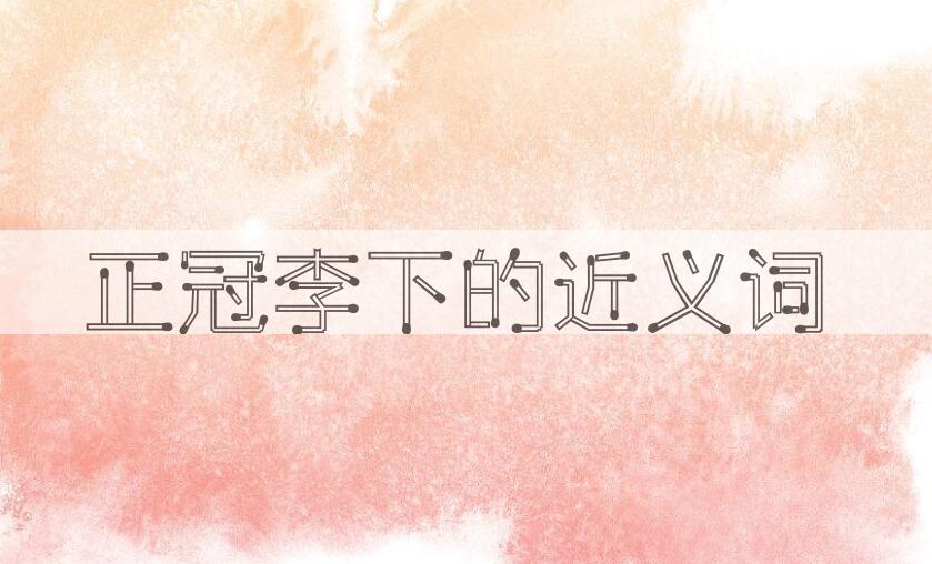 用正冠李下造句