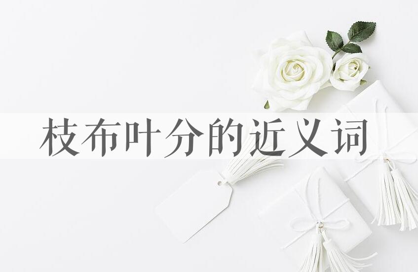 用枝布叶分造句