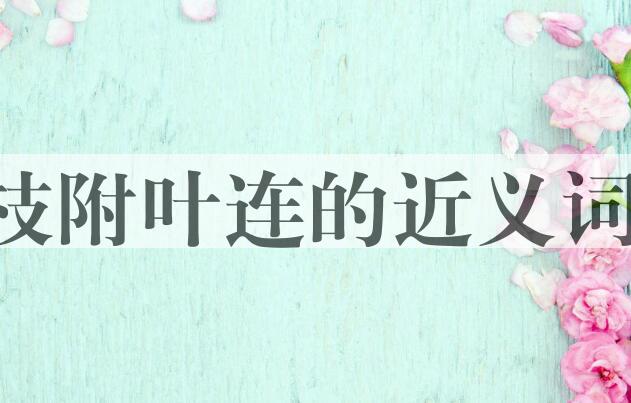 用枝附叶连造句