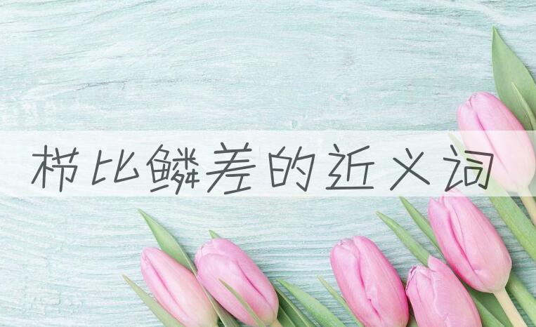 用栉比鳞差造句