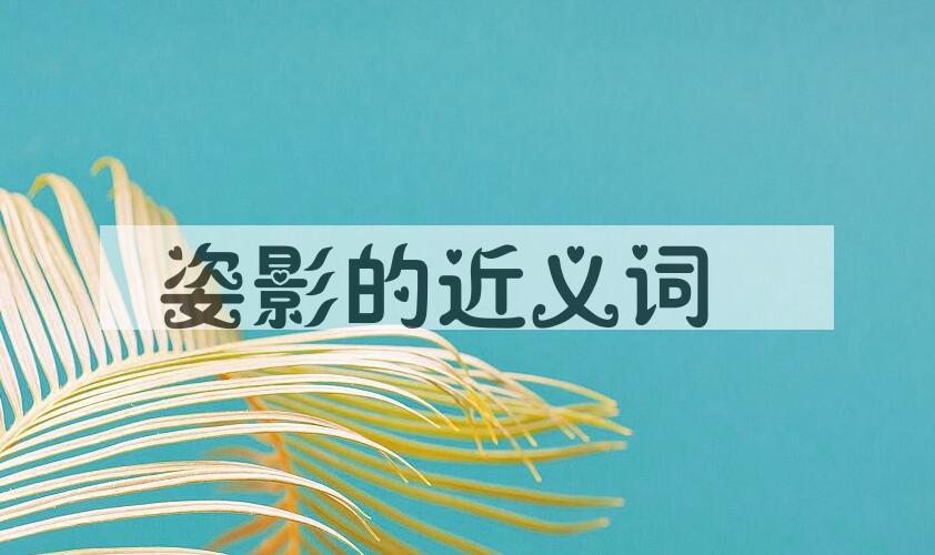 用姿影造句