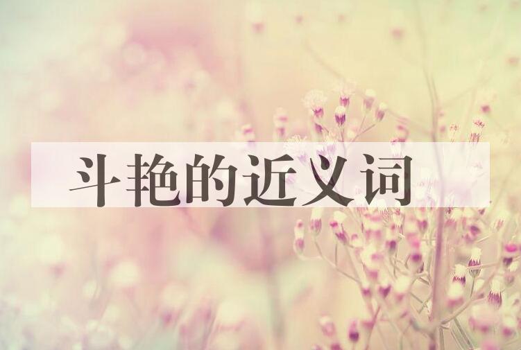 用斗艳造句