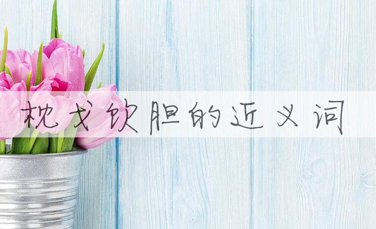 用枕戈饮胆造句