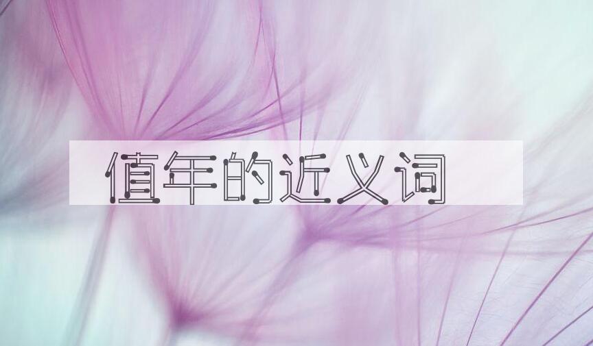 用值年造句