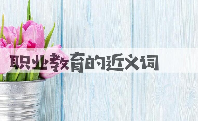 用职业教育造句