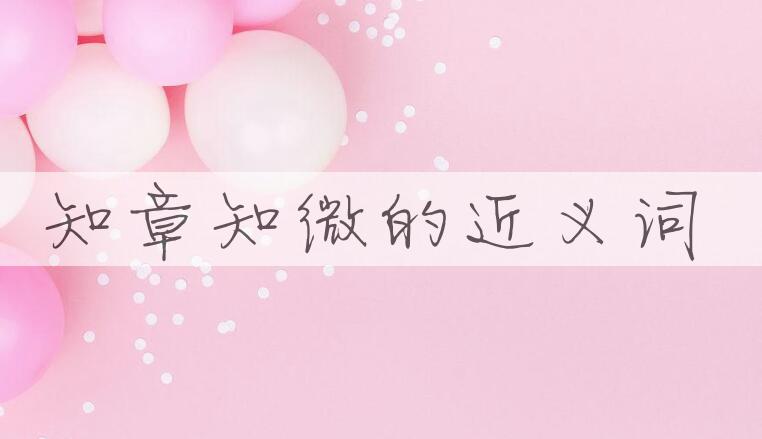 用知章知微造句
