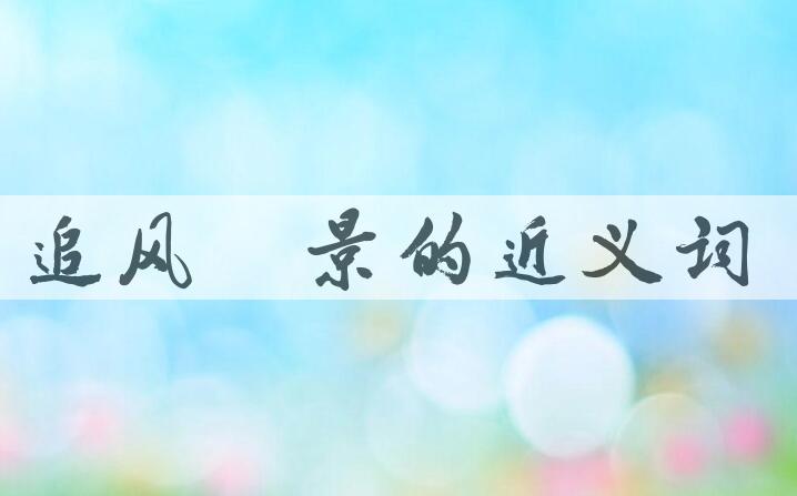 用追风蹑景造句